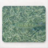 Tailing Bonefish Muismat (Voorkant)