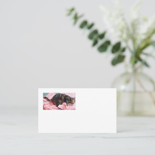 Tailor Dave American Visitekaartjes (Staand voorkant)