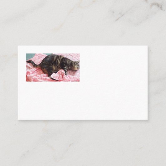 Tailor Dave American Visitekaartjes (Voorkant)