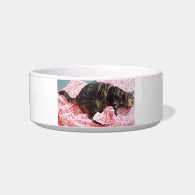 Tailor Dave Ceramic Pet Bowl Voerbakje (Voorkant)