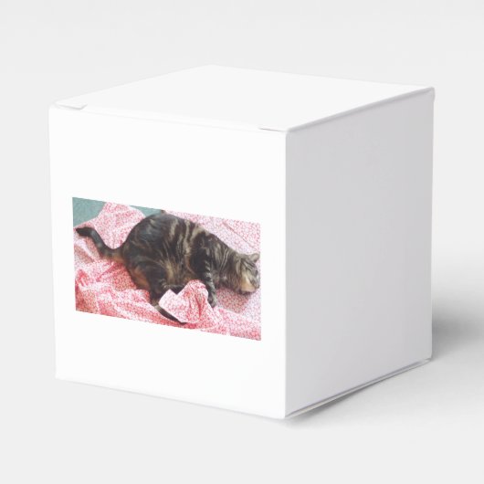 Tailor Dave Favor Box Bedankdoosjes (Voorkant Zijde)