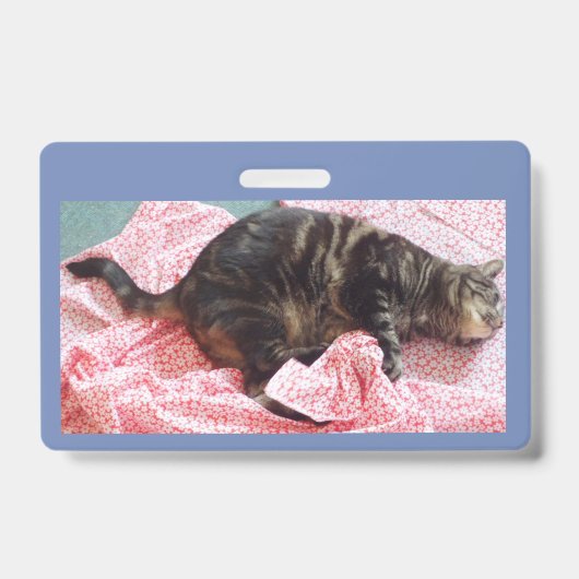 Tailor Dave ID Badge (Voorzijde)