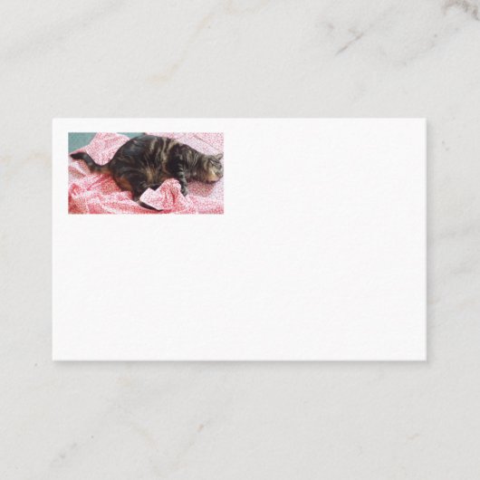 Tailor Dave Visitekaartjes (Voorkant)