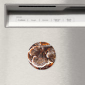 Tails paddestoel Magnet (Insitu (Vaatwasser))