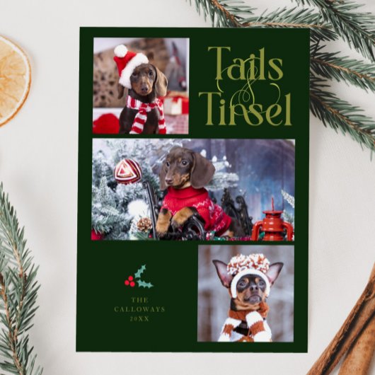 Tails & Tinsel Dog Foto Groene Kerst Feestdagenkaart