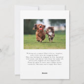 Tails & Tinsel Dog Foto Witte Kerst Feestdagenkaart (Achterkant)