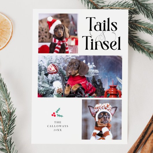 Tails & Tinsel Dog Foto Witte Kerst Feestdagenkaart