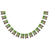 Taino Coqui Frog Flag Vlaggetjes (Alle)