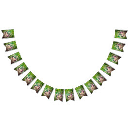 Taino Coqui Frog Flag Vlaggetjes