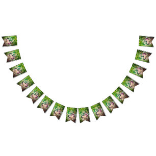 Taino Coqui Frog Flag Vlaggetjes