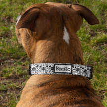 Taino symbolen Puerto Rico cultuur