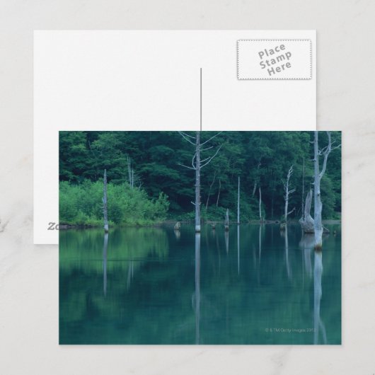 Taisho Pond Briefkaart (Voorkant / Achterkant)