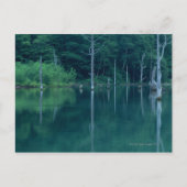 Taisho Pond Briefkaart (Voorkant)