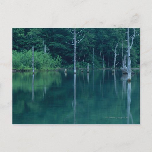 Taisho Pond Briefkaart (Voorkant)