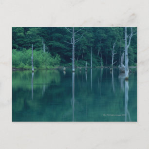 Taisho Pond Briefkaart