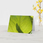 Taiwan Flora Leaf Kaart (Gele Bloem)