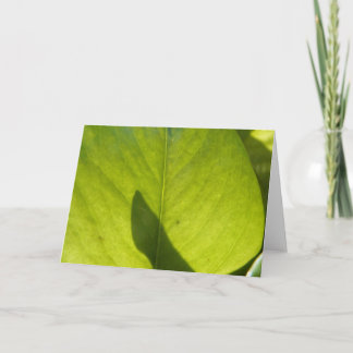 Taiwan Flora Leaf Kaart