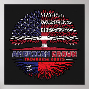 Taiwanees Taiwan VS Verenigde Staten Verenigde Sta Poster