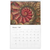 "Taiyou" Spiral Fractal Kalender (Feb 2027)