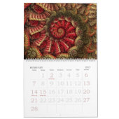 "Taiyou: Terug naar Basics-agenda Kalender (Feb 2027)