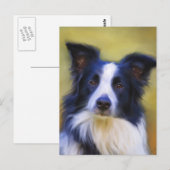 Taj - Border Collie Art Briefkaart (Voorkant / Achterkant)