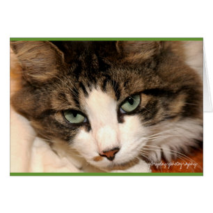 taj, glorydaysphotografie