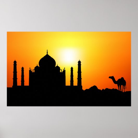 Taj Mahal & Camel op zonnige achtergrond Poster (Voorkant)