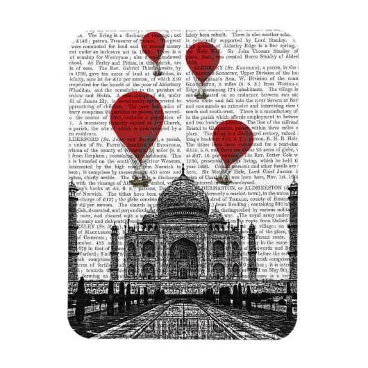 Taj Mahal en Red Hot Air-ballonnen Magneet (Verticaal)