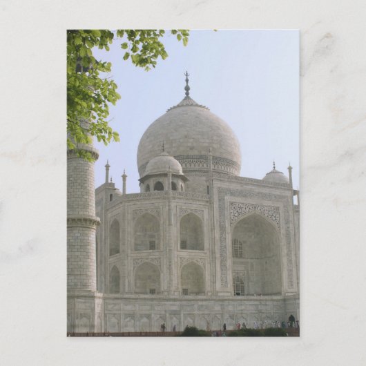 Taj Mahal, India Briefkaart (Voorkant)