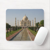 taj mahal water muismat (Met muis)