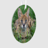 Taji - ornament (voorkant)