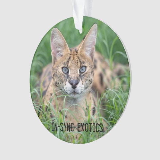 Taji - ornament (voorkant)