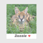 Taji - sticker (Vel)