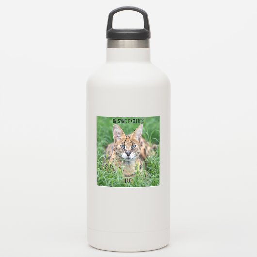 Taji - sticker (Waterfles)