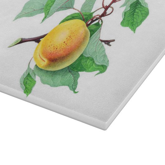 Tak Abrikozen fruitbomen kleurig Snijplank (Hoek)