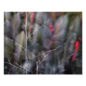 tak abstracte foto foto afdruk (Voorkant)