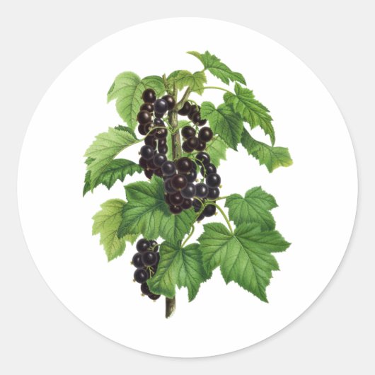 Tak met Black Currant Fruit Ronde Sticker (Voorkant)