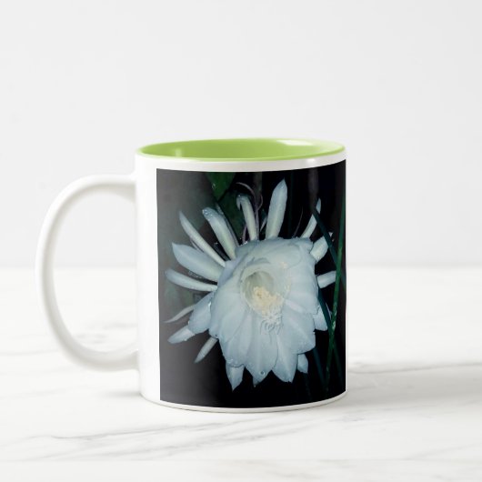 Tak Tweekleurige Koffiemok (Links)