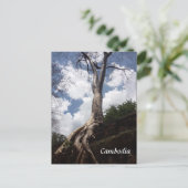 tak van de stamboom briefkaart (Staand voorkant)