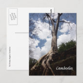 tak van de stamboom briefkaart (Voorkant / Achterkant)