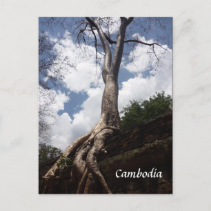 tak van de stamboom briefkaart