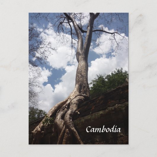 tak van de stamboom briefkaart (Voorkant)