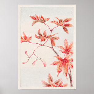 Tak van Momiji Maple Tree door Megata Morikaga Poster