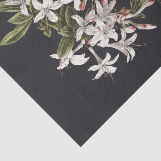 tak van White Azaleas in Bloom Tissuepapier (Detail)