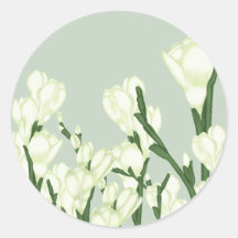 Tak van witte Freesia.