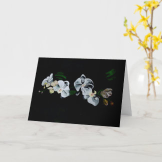 Tak van Witte Orchideeën Kaart