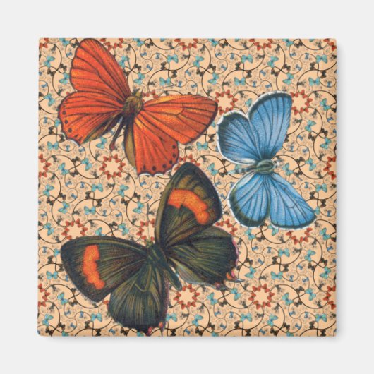 tak vlinders elke kleur magneet (Voorkant)