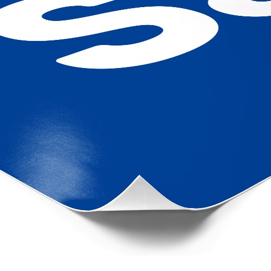 Take Back Sanity Perfect Poster (Hoek)