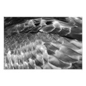 Take Flight Foto Afdruk (Voorkant)