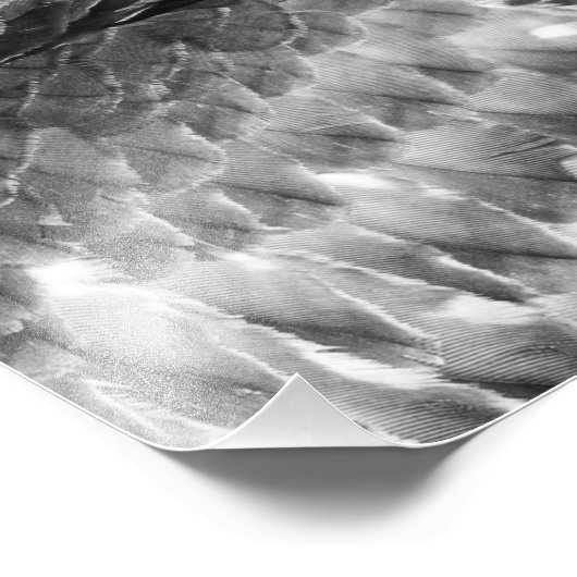 Take Flight Foto Afdruk (Hoek)